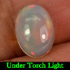 Oval Cabochon Natural Gem 0.97 Ct. Multi-Color Play Of Colour Opal Oval Cabochon Natural Gem 0.97 Ct. Multi-Color Play Of Colour Opal