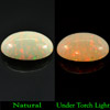2.90 Ct. Oval Cabochon Natural Gem Multi-Color Play Of Colour Opal 2.90 Ct. Oval Cabochon Natural Gem Multi-Color Play Of Colour Opal