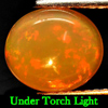 1.65 Ct. Natural Gem Multi-Color Play Of Colour Opal Oval Cabochon
