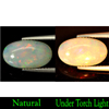 2.81 Ct. Oval Cabochon Natural Gem Multi Color Play Of Colour Opal 2.81 Ct. Oval Cabochon Natural Gem Multi Color Play Of Colour Opal