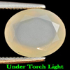 1.73 Ct. Oval Natural Gem Multi Color Play Of Colour Opal Unheated 1.73 Ct. Oval Natural Gem Multi Color Play Of Colour Opal Unheated