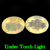 1.42 Ct. 2 Pcs. Oval Natural Gems Multi Color Play Of Colour Opal 1.42 Ct. 2 Pcs. Oval Natural Gems Multi Color Play Of Colour Opal