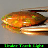 1.64 Ct. Marquise Cabochon Natural Play Of Color Rainbow Fire Red Black Opal 1.64 Ct. Marquise Cabochon Natural Play Of Color Rainbow Fire Red Black Opal