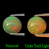 0.72 Ct. Good Round Cab Multi Color Natural Opal Gem Unheated Ethiopia