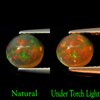 0.92 Ct. Sparkle Round Cab Multi Color Natural Opal Gem Unheated Ethiopia