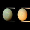 Opal Multi Color 4.47 Ct. Oval Cabochon 13.8 x 11 Mm. Natural Gemstone Unheated
