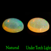 1.45 Ct. Oval Cabochon Shape Natural Gemstone Multi Color Opal Unheated