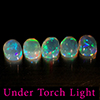 Natural Multi Color Opal 1.56 Ct. 5 Pcs Oval Cabochon Shape 5.9 x 4 Mm Gemstones
