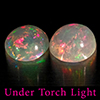 Natural Multi Color Opal 1.51 Ct. 2 Pcs Round Cabochon Shape 7.1 Mm Gemstones Natural Multi Color Opal 1.51 Ct. 2 Pcs Round Cabochon Shape 7.1 Mm Gemstones