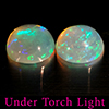 Natural Multi Color Opal 1.50 Ct. 2 Pcs Round Cabochon Shape 7 Mm Gemstones Natural Multi Color Opal 1.50 Ct. 2 Pcs Round Cabochon Shape 7 Mm Gemstones