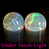 Natural Multi Color Opal 1.87 Ct. 2 Pcs Round Cabochon Shape 7.1 Mm Gemstones Natural Multi Color Opal 1.87 Ct. 2 Pcs Round Cabochon Shape 7.1 Mm Gemstones