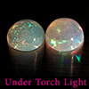 Natural Multi Color Opal 1.51 Ct. 2 Pcs Round Cabochon Shape 7 Mm Gemstones Natural Multi Color Opal 1.51 Ct. 2 Pcs Round Cabochon Shape 7 Mm Gemstones