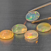 Natural Multi-Color Play Of Colour Opal 2.68 Ct. 5 Pcs Oval Cabochon Shape 7.4 x 5 Mm Gemstones Natural Multi-Color Play Of Colour Opal 2.68 Ct. 5 Pcs Oval Cabochon Shape 7.4 x 5 Mm Gemstones