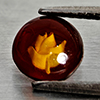Natural Brown Yellow Amber 0.30 Ct. Flower Carving In Round Cabochon