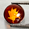 Natural Brown Yellow Amber 0.60 Ct. Flower Carving In Round Cabochon Shape 8 Mm