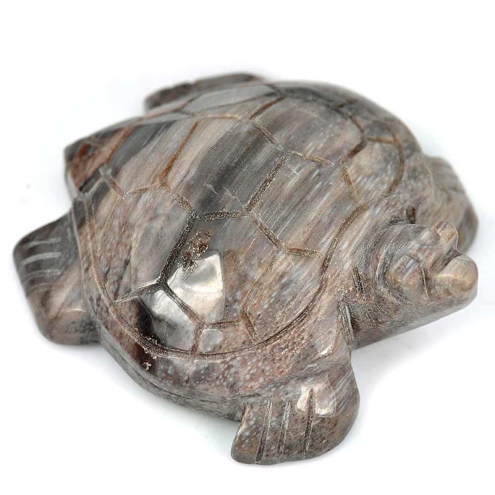 Brown Petrified Wood 360.61 Ct. Turtle Carving 63 x 50 Mm. Natural Gem Unheated
