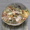 Natural White Brown Moss Quartz 26.76 Ct. Oval Cabochon Shape 19.3 x 7.3 Mm Gemstone From Thailand