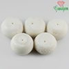 122.40 Ct 5 Pcs Beautiful Natural Top White CORAL Gems