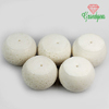 127.55 ct. 5 Pcs. Eye-Catching Top Natural White CORAL