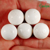 131.75 Ct. 5 Pcs. Wonderful Top Natural White CORAL
