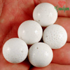 131.25 Ct. 5 Pcs. Marvellous Natural White Color CORAL