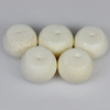 131.05 Ct. 5 Pcs. Natural White Coral Beads Unheated