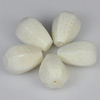 56.40 Ct. 5 Pcs. Natural White Coral Beads Unheated