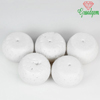 119.55 Ct. 5 Pcs. Impressive Natural White CORAL BEADS